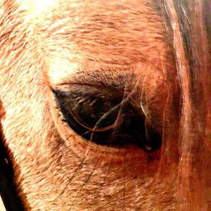 Meet your Posher, Lindsay